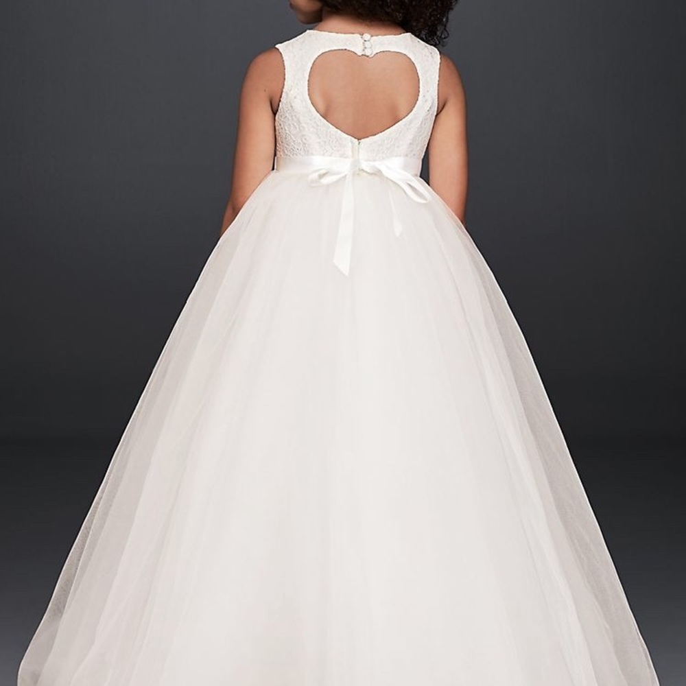 Flower girl dress David’s bridal
